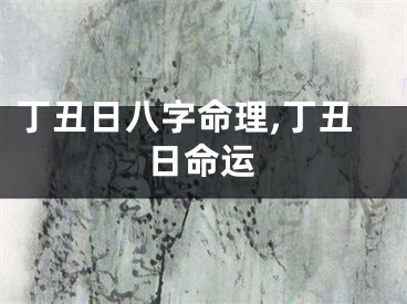 丁丑日八字命理,丁丑日命运