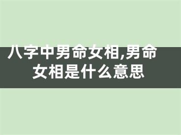 八字中男命女相,男命女相是什么意思