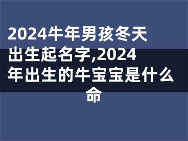 2024牛年男孩冬天出生起名字,2024年出生的牛宝宝是什么命