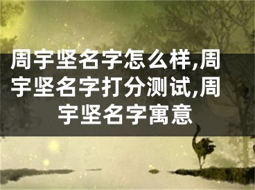 周宇坚名字怎么样,周宇坚名字打分测试,周宇坚名字寓意