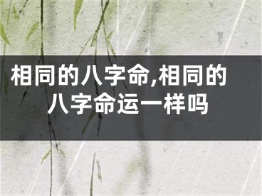 相同的八字命,相同的八字命运一样吗
