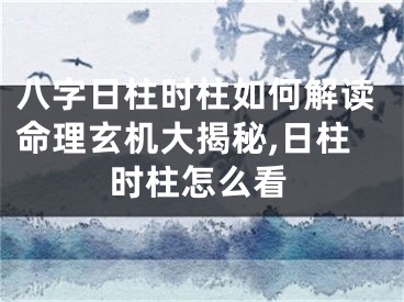 八字日柱时柱如何解读命理玄机大揭秘,日柱时柱怎么看