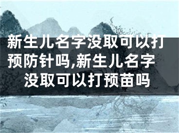 新生儿名字没取可以打预防针吗,新生儿名字没取可以打预苗吗