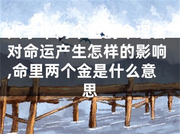 八字中两个金的命理会对命运产生怎样的影响,命里两个金是什么意思