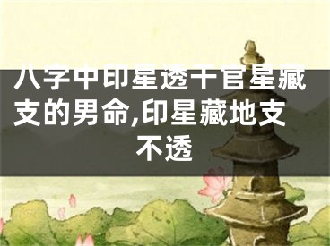 八字中印星透干官星藏支的男命,印星藏地支不透