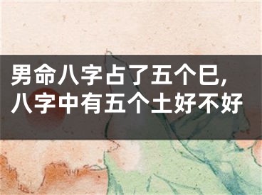男命八字占了五个巳,八字中有五个土好不好