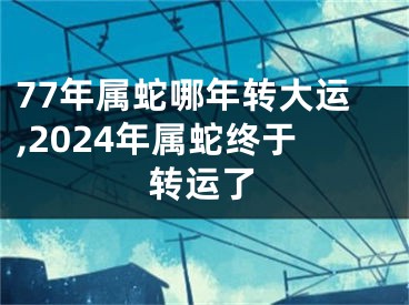 77年属蛇哪年转大运,2024年属蛇终于转运了