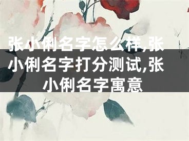 张小俐名字怎么样,张小俐名字打分测试,张小俐名字寓意