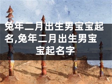 兔年二月出生男宝宝起名,兔年二月出生男宝宝起名字