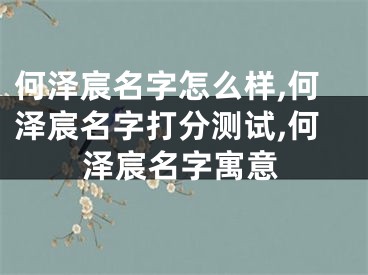何泽宸名字怎么样,何泽宸名字打分测试,何泽宸名字寓意