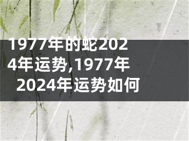 1977年的蛇2024年运势,1977年2024年运势如何