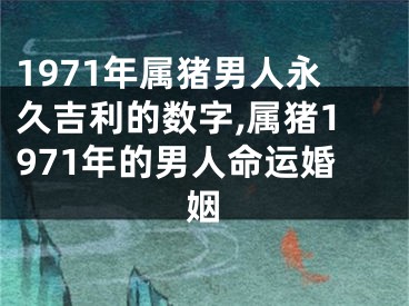 1971年属猪男人永久吉利的数字,属猪1971年的男人命运婚姻