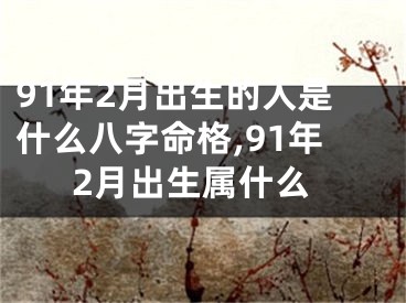91年2月出生的人是什么八字命格,91年2月出生属什么