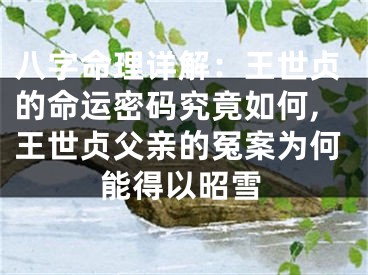 八字命理详解：王世贞的命运密码究竟如何,王世贞父亲的冤案为何能得以昭雪