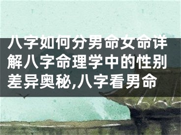 八字如何分男命女命详解八字命理学中的性别差异奥秘,八字看男命