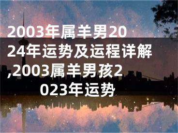 2003年属羊男2024年运势及运程详解,2003属羊男孩2023年运势