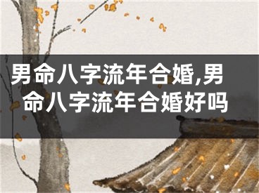男命八字流年合婚,男命八字流年合婚好吗