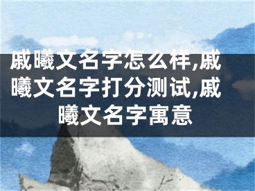 戚曦文名字怎么样,戚曦文名字打分测试,戚曦文名字寓意