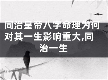 同治皇帝八字命理为何对其一生影响重大,同治一生