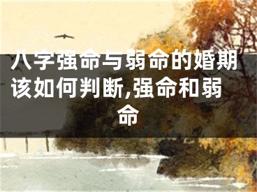 八字强命与弱命的婚期该如何判断,强命和弱命
