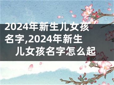2024年新生儿女孩名字,2024年新生儿女孩名字怎么起