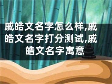 戚皓文名字怎么样,戚皓文名字打分测试,戚皓文名字寓意