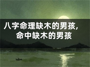 八字命理缺木的男孩,命中缺木的男孩