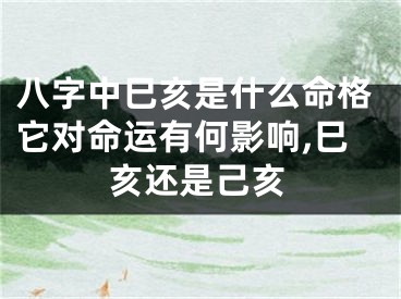 八字中巳亥是什么命格它对命运有何影响,巳亥还是己亥