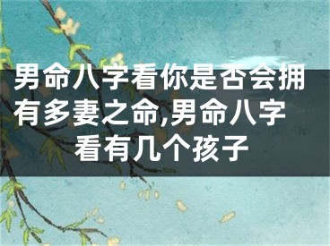 男命八字看你是否会拥有多妻之命,男命八字看有几个孩子