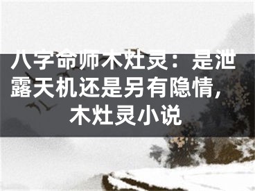 八字命师木灶灵：是泄露天机还是另有隐情,木灶灵小说