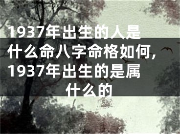 1937年出生的人是什么命八字命格如何,1937年出生的是属什么的