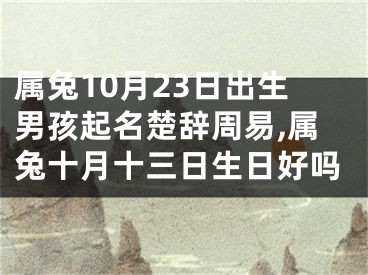 属兔10月23日出生男孩起名楚辞周易,属兔十月十三日生日好吗