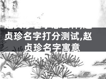 赵贞珍名字怎么样,赵贞珍名字打分测试,赵贞珍名字寓意