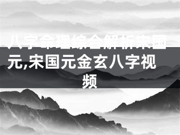 八字命理综合解析宋国元,宋国元金玄八字视频