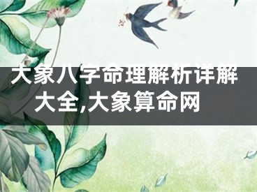 大象八字命理解析详解大全,大象算命网