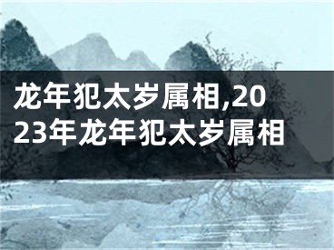 龙年犯太岁属相,2023年龙年犯太岁属相