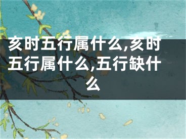 亥时五行属什么,亥时五行属什么,五行缺什么