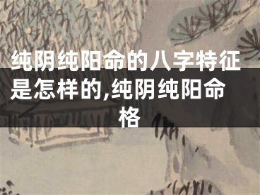 纯阴纯阳命的八字特征是怎样的,纯阴纯阳命格