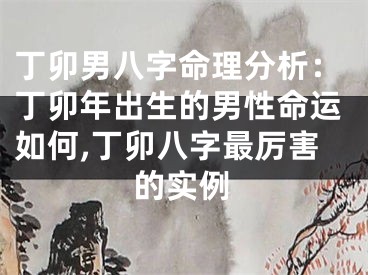 丁卯男八字命理分析：丁卯年出生的男性命运如何,丁卯八字最厉害的实例