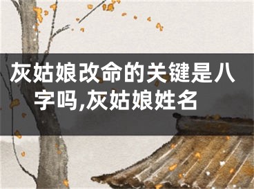 灰姑娘改命的关键是八字吗,灰姑娘姓名