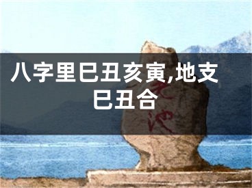 八字里巳丑亥寅,地支巳丑合