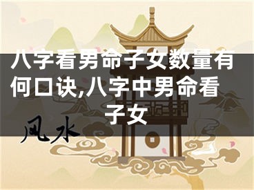 八字看男命子女数量有何口诀,八字中男命看子女