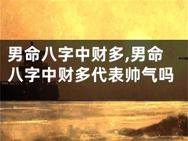 男命八字中财多,男命八字中财多代表帅气吗
