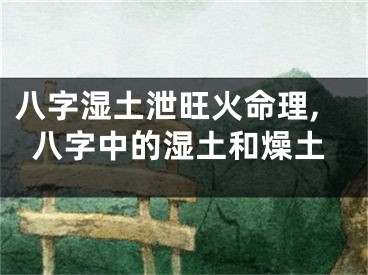 八字湿土泄旺火命理,八字中的湿土和燥土