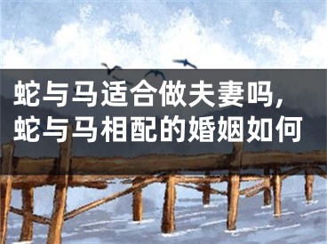 蛇与马适合做夫妻吗,蛇与马相配的婚姻如何