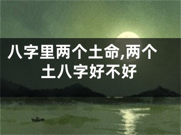 八字里两个土命,两个土八字好不好