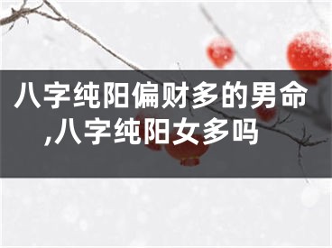 八字纯阳偏财多的男命,八字纯阳女多吗