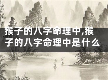 猴子的八字命理中,猴子的八字命理中是什么
