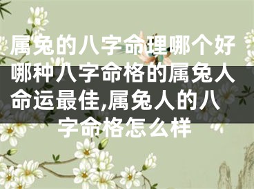 属兔的八字命理哪个好哪种八字命格的属兔人命运最佳,属兔人的八字命格怎么样