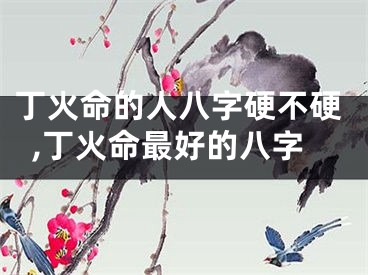 丁火命的人八字硬不硬,丁火命最好的八字
